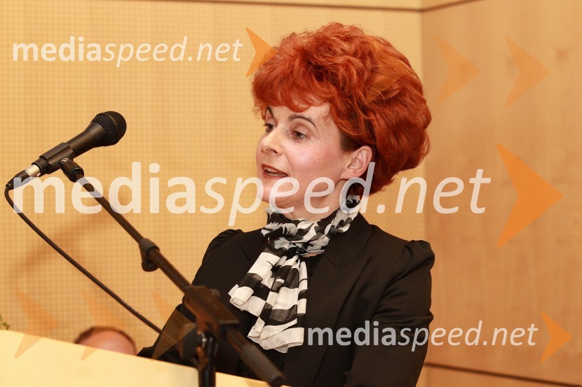 Prof. dr. Irena Stramljič Breznik, Filozofska fakulteta Univerze v MariboruRektorjev dan Univerze v Mariboru 2011, promocija doktorjev znanosti in podelitev nagrad