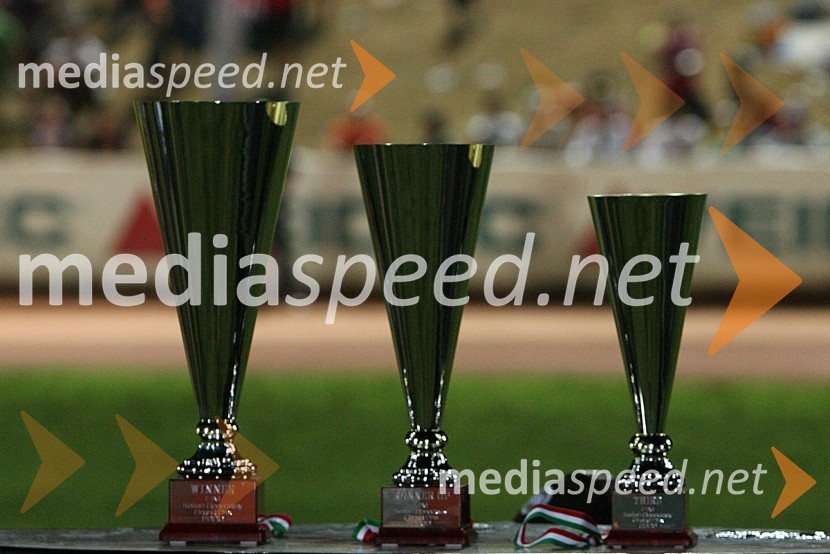 Pokali za VN ItalijeSPEEDWAY GRAND PRIX, VN Italije 2006, dirka
