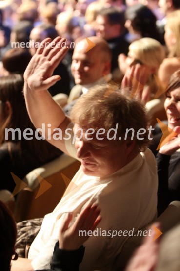 Sašo Hribar, televizijski voditeljViktorji 2010, dogajanje v dvorani