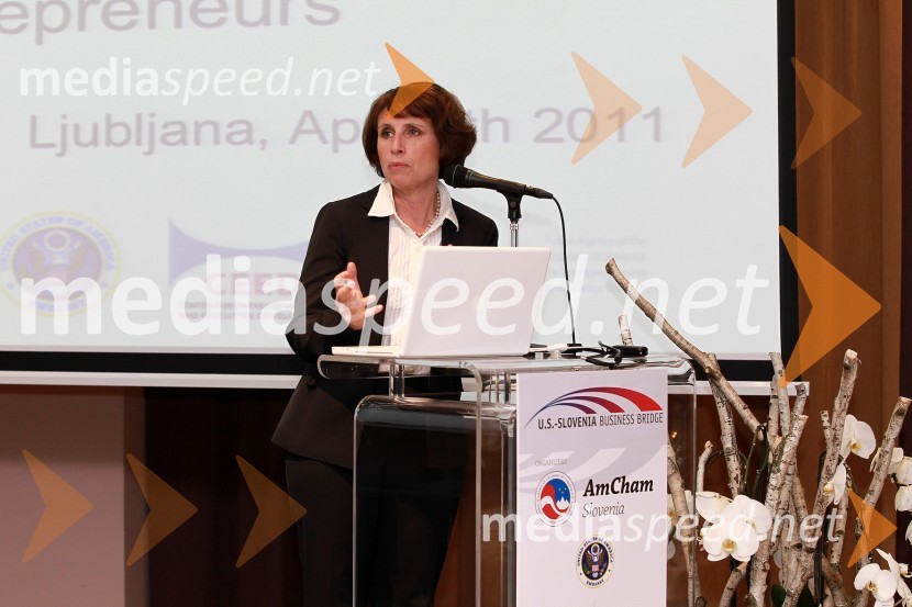 AmCham Investicijska konferenca U.S.-Slovenia business bridge: Cross U.S.-Slovenia investment opportunities for entrepreneurs
