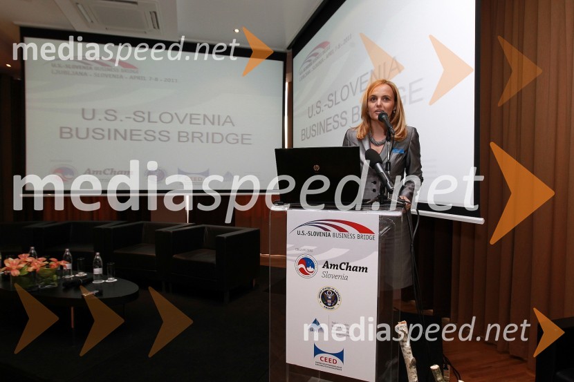 Mag. Ajša Vodnik, izvršna direktorica Ameriške gospodarske zbornice (AmCham) 	 
AmCham Investicijska konferenca U.S.-Slovenia business bridge: U.S. Investors day
