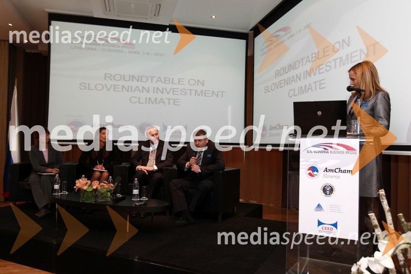 AmCham Investicijska konferenca U.S.-Slovenia business bridge: U.S. Investors day