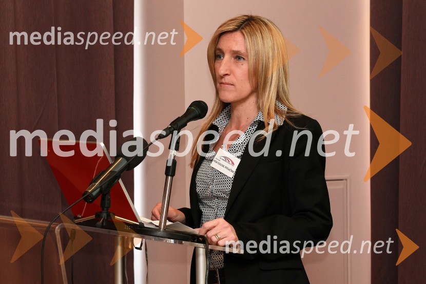 Vida Dolenc Pogačnik, Ameriška gospodarska zbornica (AmCham)AmCham Investicijska konferenca U.S.-Slovenia business bridge: U.S. Investors day