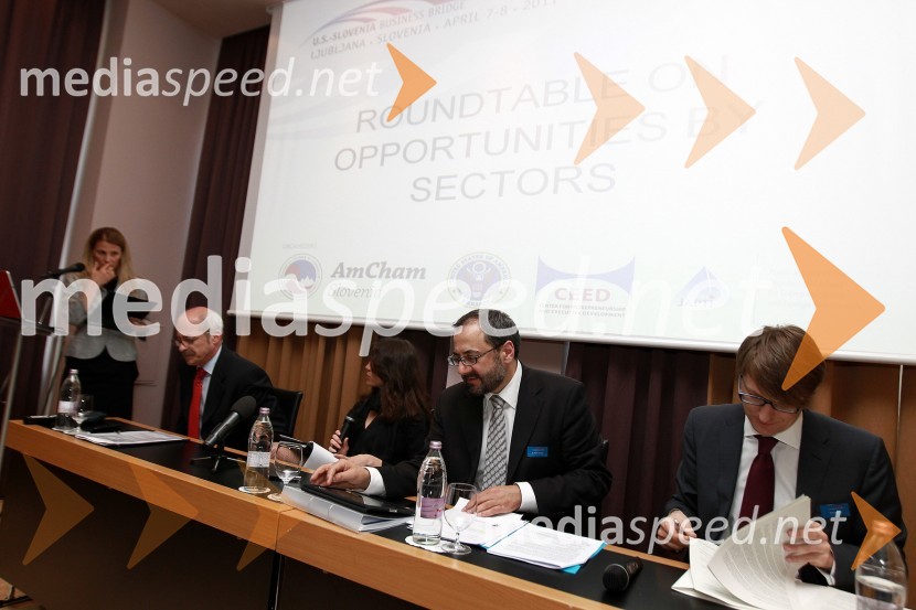 AmCham Investicijska konferenca U.S.-Slovenia business bridge: U.S. Investors day