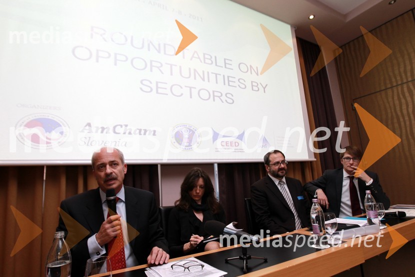 AmCham Investicijska konferenca U.S.-Slovenia business bridge: U.S. Investors day