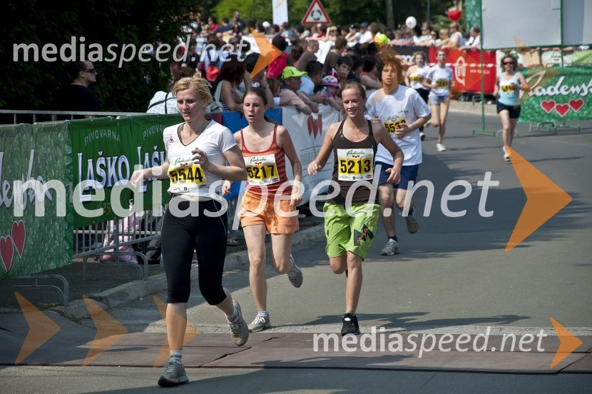 31. Maraton treh src, udeleženci