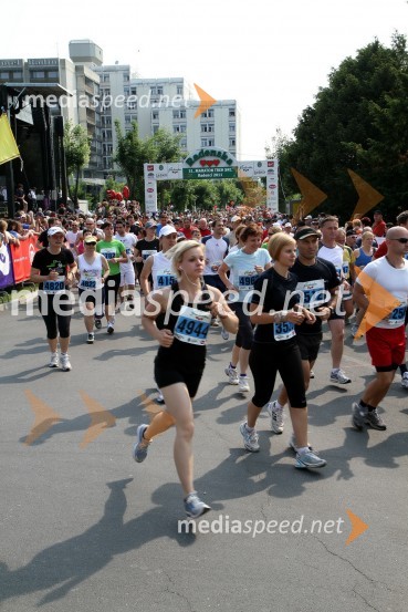 31. Maraton treh src, udeleženci