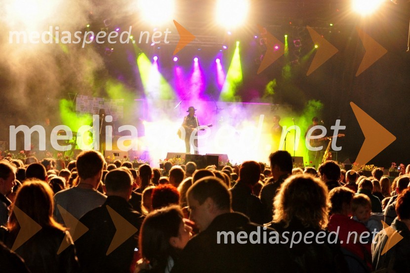 31. Maraton treh src, reportaža