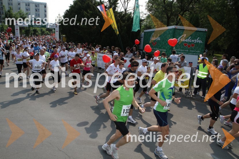 31. Maraton treh src, udeleženci