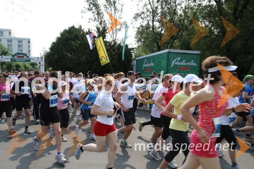 31. Maraton treh src, udeleženci