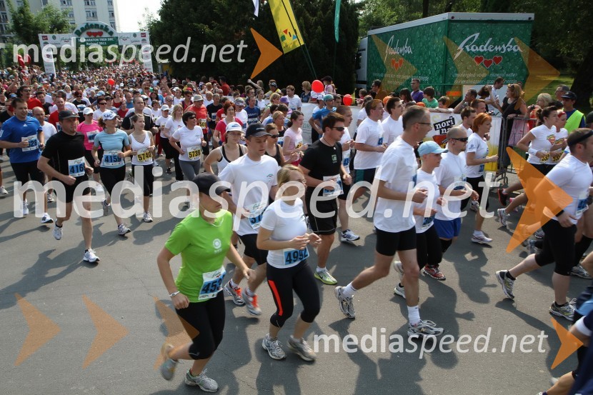 31. Maraton treh src, udeleženci