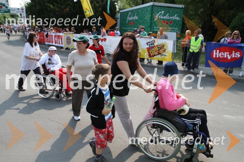 31. Maraton treh src, udeleženci