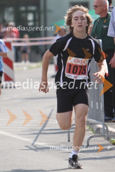 31. Maraton treh src, udeleženci