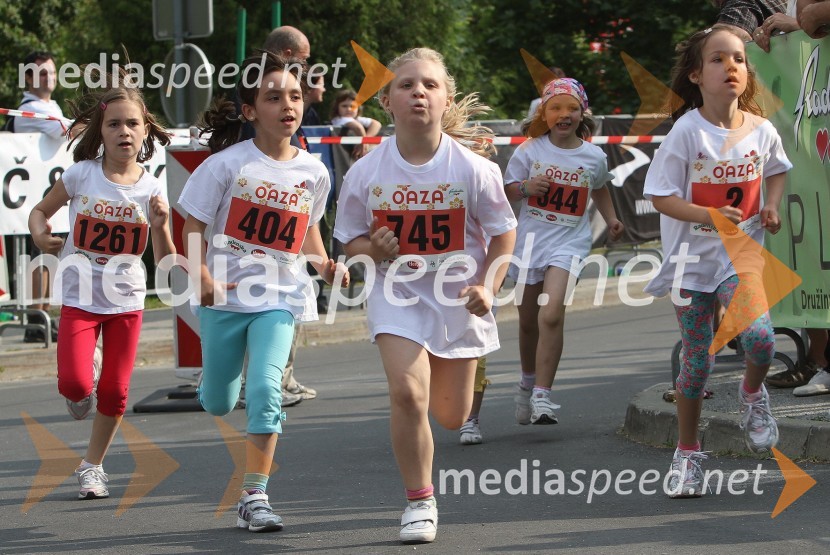 31. Maraton treh src, udeleženci
