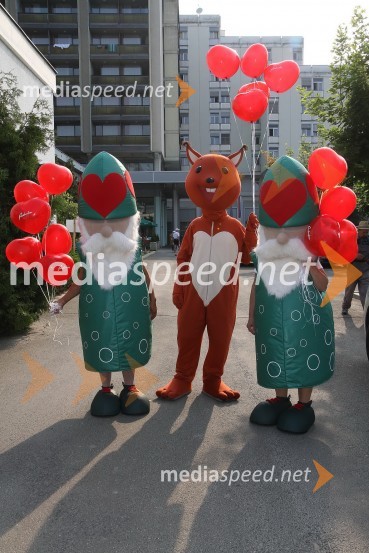 31. Maraton treh src, reportaža