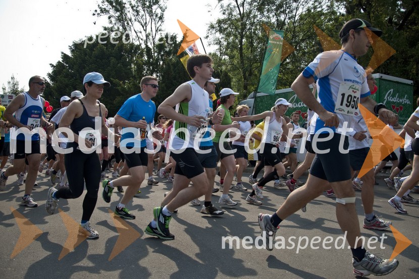 31. Maraton treh src, udeleženci