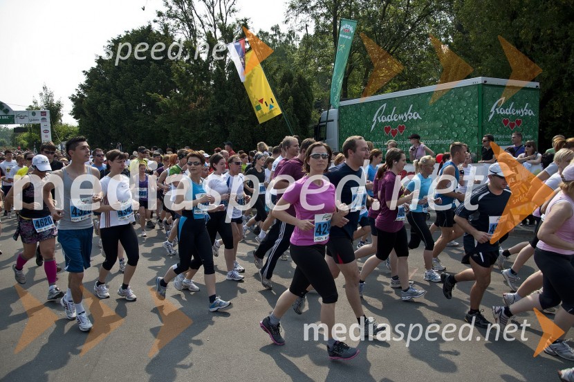 31. Maraton treh src, udeleženci