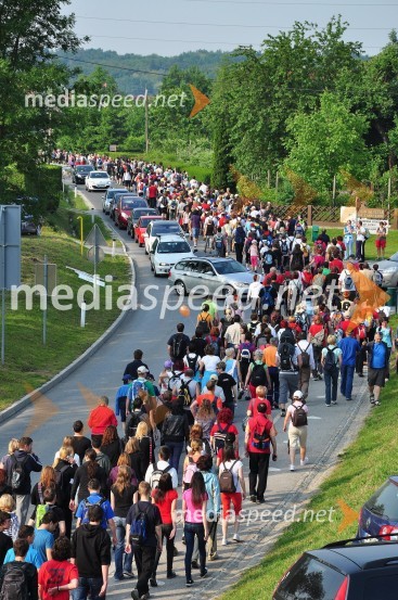 31. Maraton treh src, udeleženci