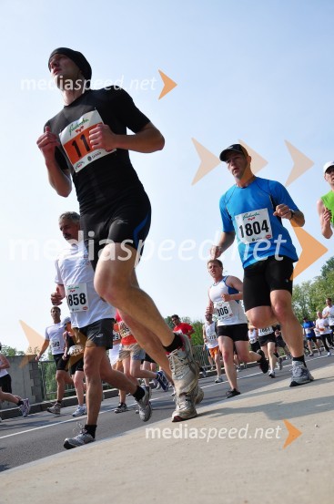 31. Maraton treh src, udeleženci