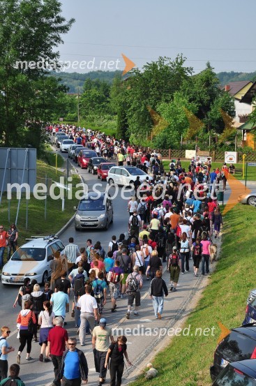 31. Maraton treh src, udeleženci