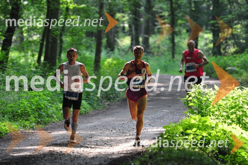 31. Maraton treh src, udeleženci