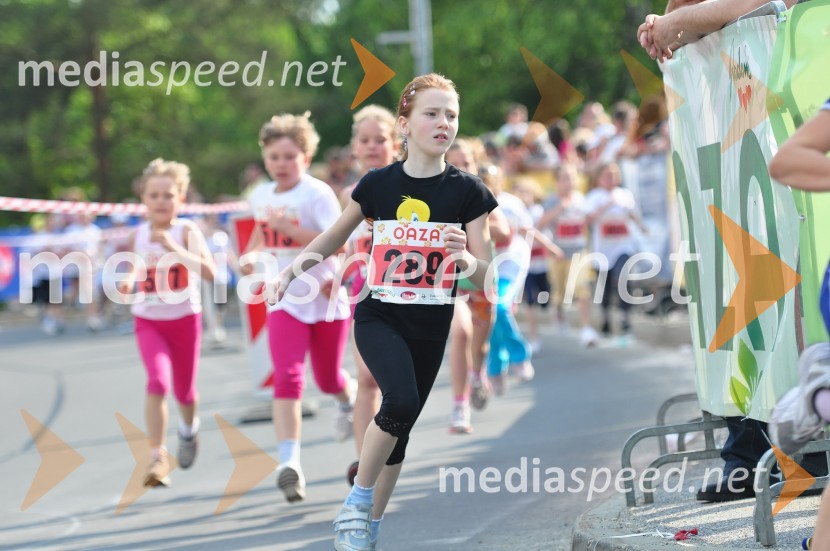 31. Maraton treh src, udeleženci