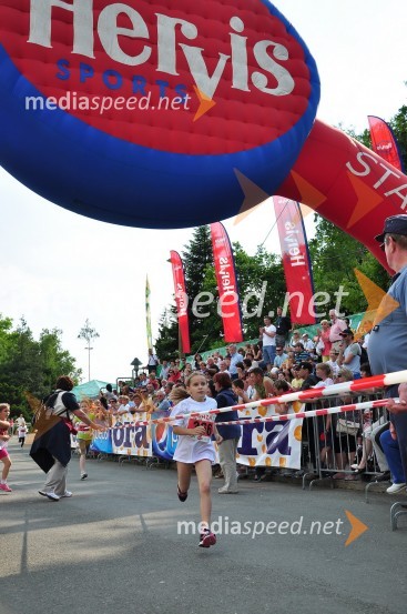 31. Maraton treh src, udeleženci