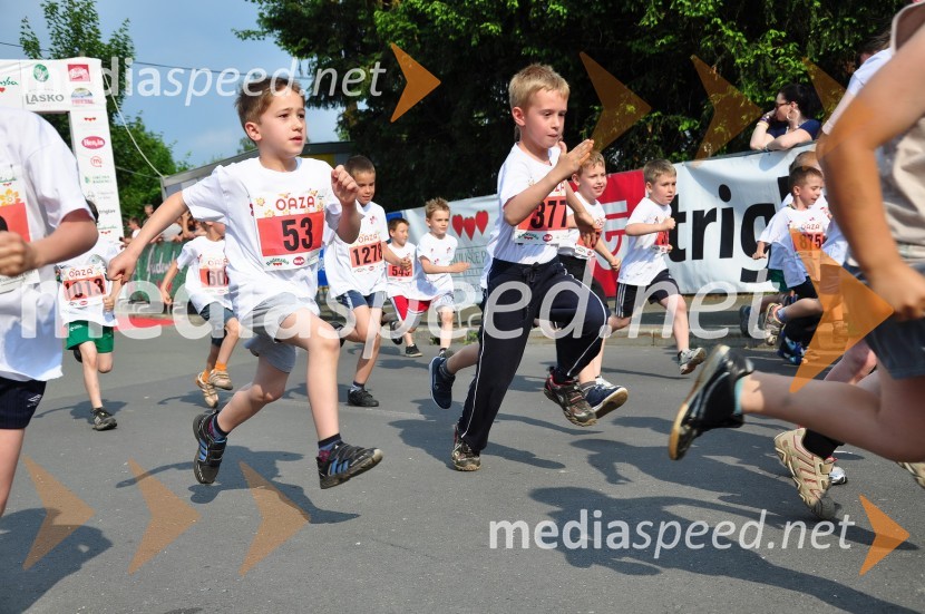 31. Maraton treh src, udeleženci