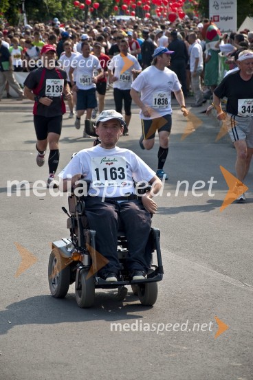 Roman Kamnik, tek na 21 km31. Maraton treh src, udeleženci