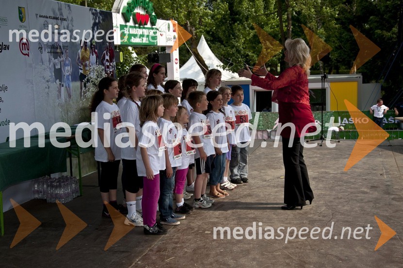 31. Maraton treh src, udeleženci