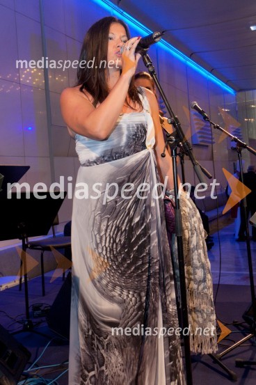 Slovesnost ob ustanovitvi Rotary International District 1912