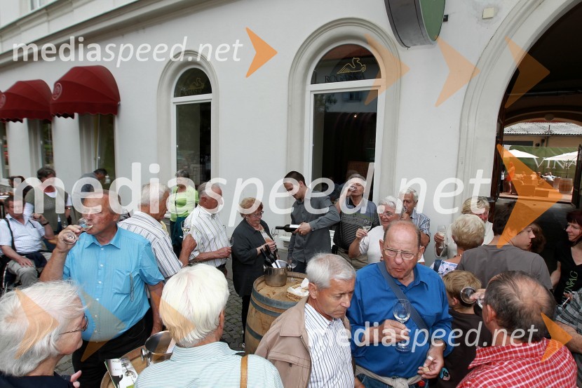 Vinagova sobota, predstavitev vin in podjetja Vinag