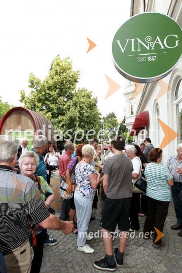 Vinagova sobota, predstavitev vin in podjetja Vinag