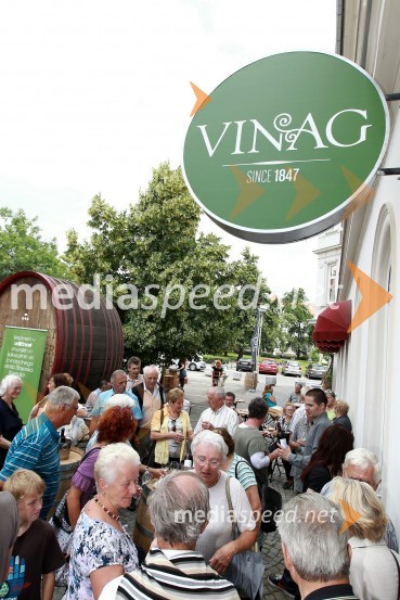 Vinagova sobota, predstavitev vin in podjetja Vinag