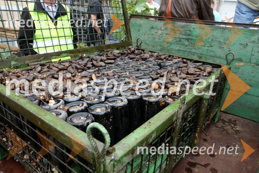 5. Dan odprtih kleti, tradicionalna prireditev Radgonskih goric