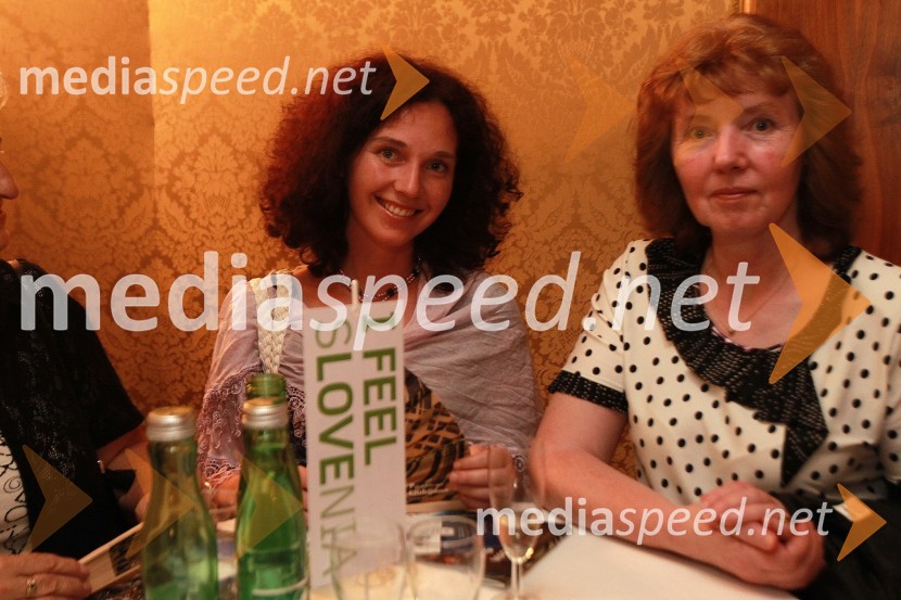 Okusi Slovenije v Celovcu, sprejem ob 20. obletnici državnosti Slovenije