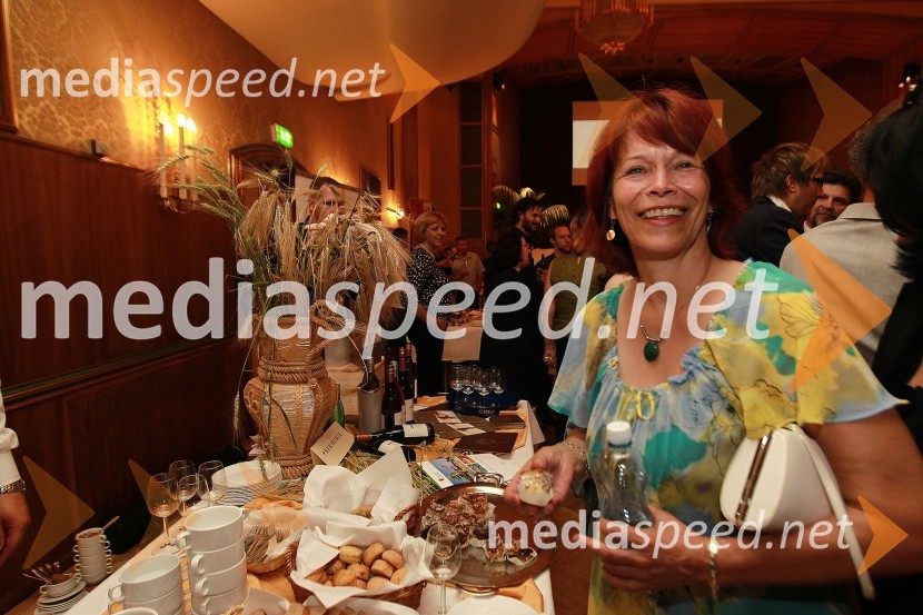 Okusi Slovenije v Celovcu, sprejem ob 20. obletnici državnosti Slovenije