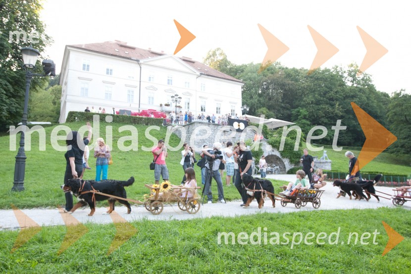 300. oddaja Štiri tačke