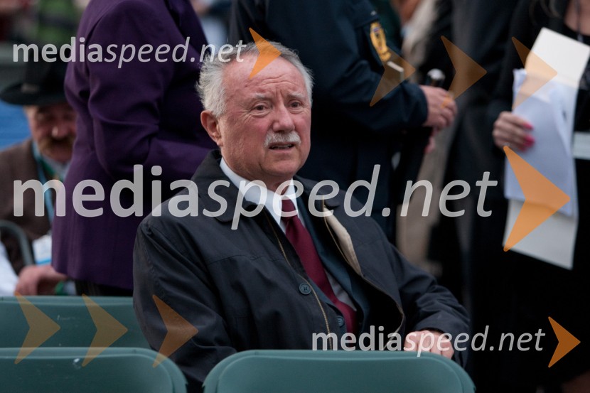 Anton Bebler, profesorOsrednja državna počastitev dneva državnosti in 20. obletnice samostojnosti Slovenije