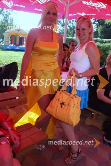 Maja Žilavec Murko, soproga Damjana Murka ter Marjanca Scheicher, pisateljica in novinarkaDamjan Murko, predstavitev nove pesmi Slavček
