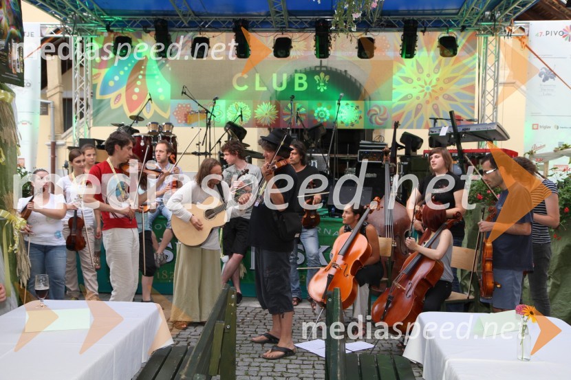 Godalkarji Bojana CvetrežnikaPivo in cvetje 2011, VIP dogajanje