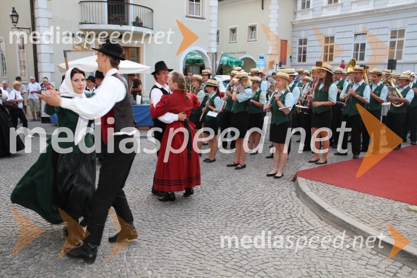 Pivo in cvetje 2011, VIP dogajanje