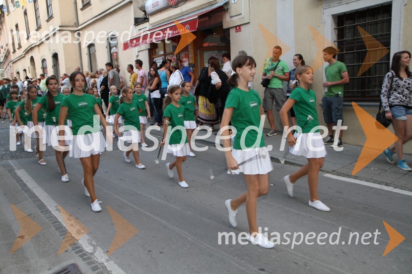 Pivo in cvetje 2011, VIP dogajanje