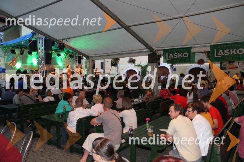 ObiskovalciPivo in cvetje 2011, VIP dogajanje