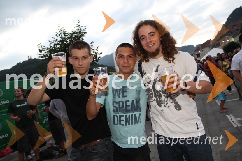 ObiskovalciPivo in cvetje 2011, VIP dogajanje