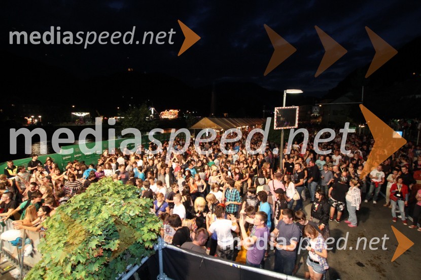 ObiskovalciPivo in cvetje 2011, VIP dogajanje