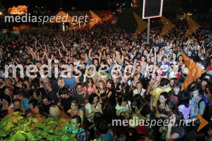ObiskovalciPivo in cvetje 2011, VIP dogajanje