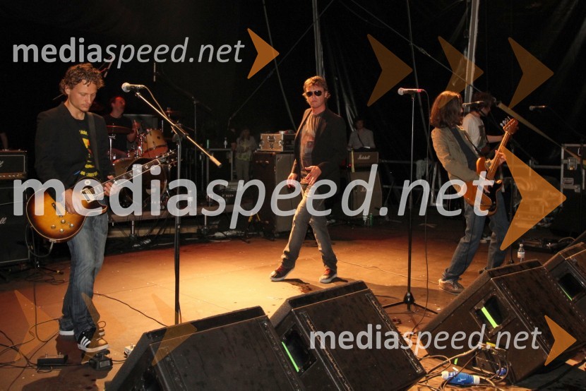 Skupina Big Foot MamaPivo in cvetje 2011, VIP dogajanje