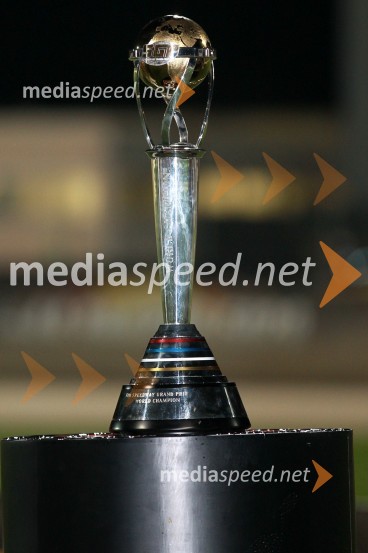 Pokal za svetovnega prvaka 2011
Speedway Grand Prix 2011, VN Italije - 6. dirka