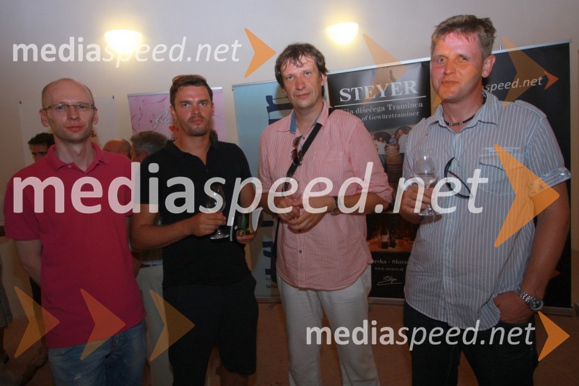 Mag. Benjamin Jošar, izvršni direktor področja finančnih trgov KD Banka d.d., Primož Fidler, Fidea, dr. Iztok Palčič, Fakulteta za strojništvo Maribor in  Blaž KolarSalon Traminec 2011